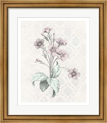 Framed Victorian Blooms IV Print