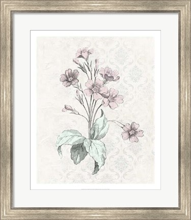 Framed Victorian Blooms IV Print
