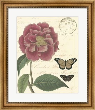 Framed Vintage Floral III Print
