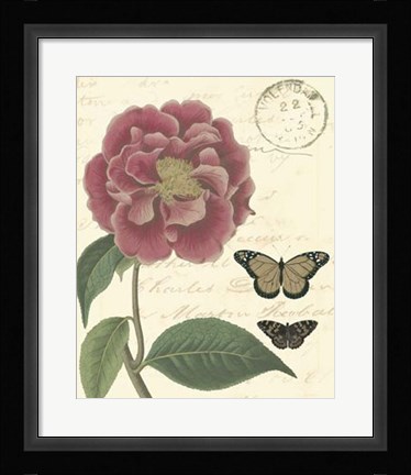 Framed Vintage Floral III Print
