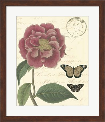 Framed Vintage Floral III Print