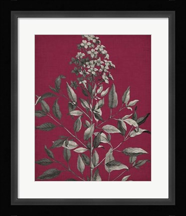 Framed Vivid Chintz IV Print