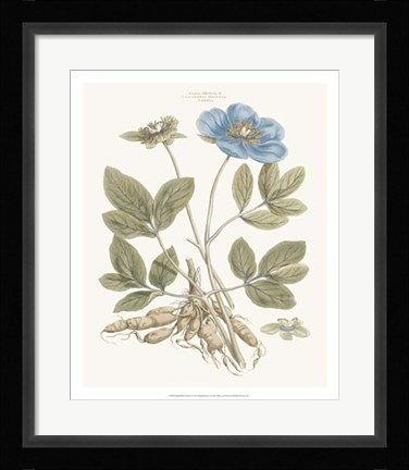 Framed Bashful Blue Florals I Print