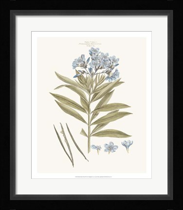 Framed Bashful Blue Florals III Print