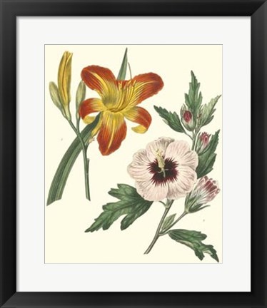 Framed Gardener&#39;s Delight IV Print