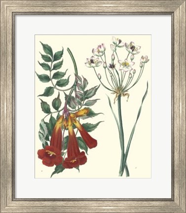 Framed Gardener&#39;s Delight VI Print