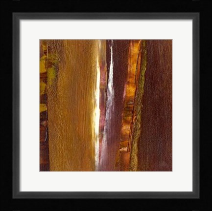 Framed Forest I Print