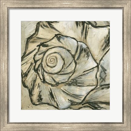 Framed Seashell Spiral I Print