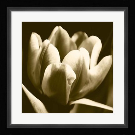 Framed Sepia Tulip I Print