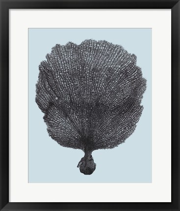 Framed Coral on Aqua II Print