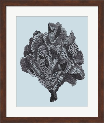 Framed Coral on Aqua IV Print