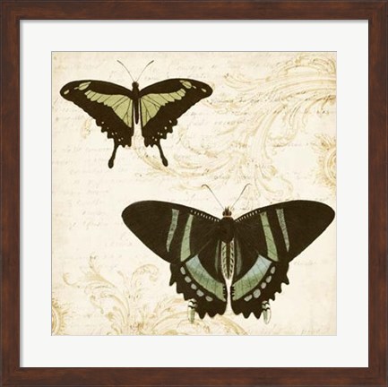 Framed Jardin des Papillons II Print