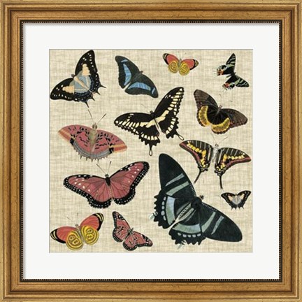 Framed Butterflies &amp; Linen II Print
