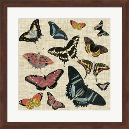 Framed Butterflies &amp; Linen II Print