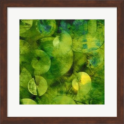 Framed Nautilus in Green I Print