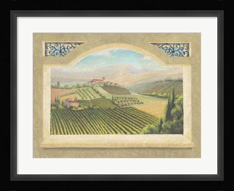Framed Vineyard Window IV Print