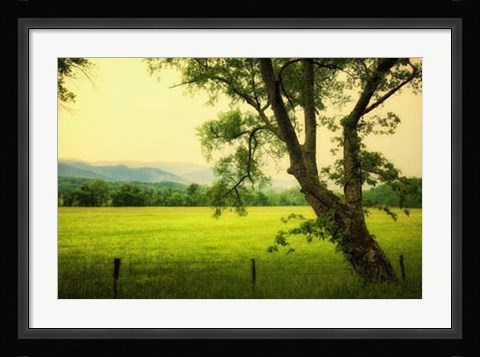 Framed Morning at the Cove I Print