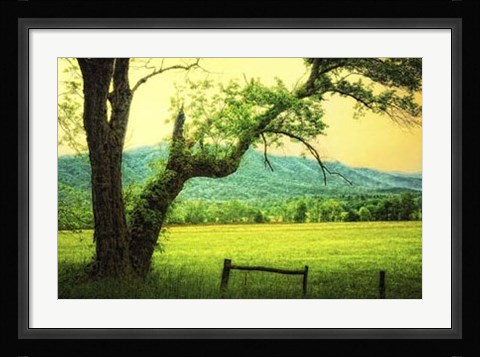 Framed Morning at the Cove II Print