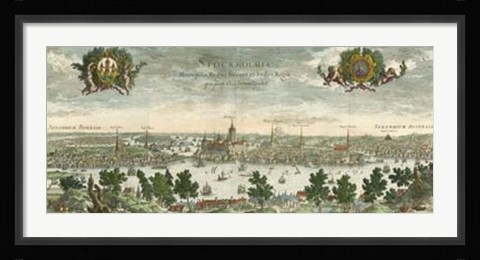 Framed Dahlberg Bird's Eye View III Print