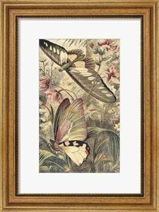 Framed Dancing Butterfly I Print