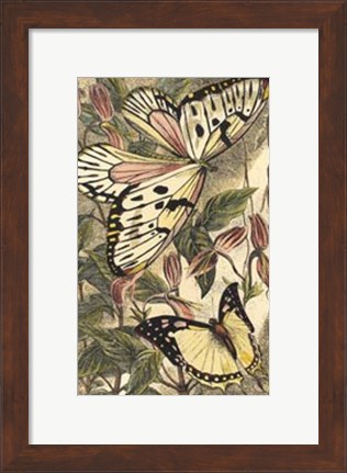 Framed Dancing Butterfly II Print