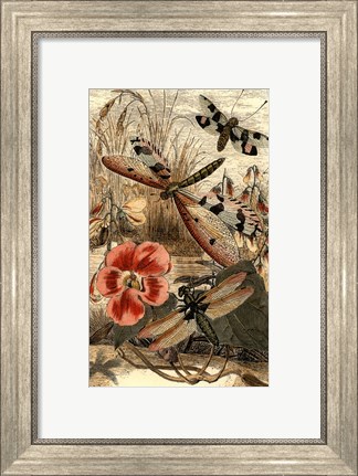 Framed Dancing Dragonfly I Print