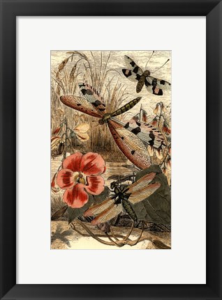 Framed Dancing Dragonfly I Print