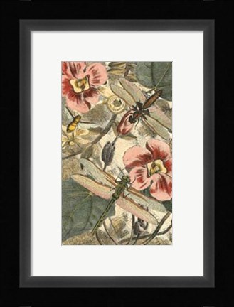 Framed Dancing Dragonfly II Print