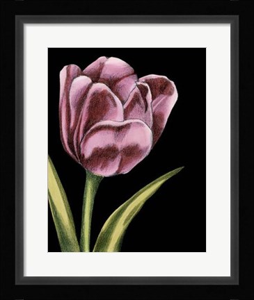 Framed Vibrant Tulips III Print