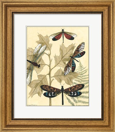 Framed Graphic Dragonflies in Nature I Print