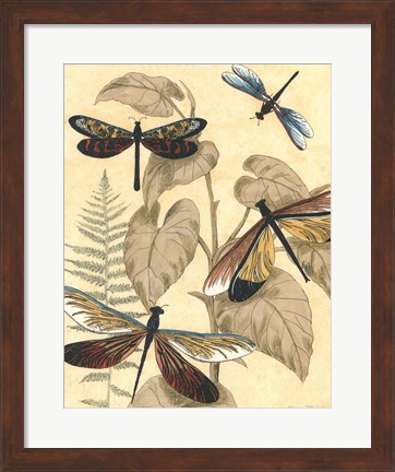 Framed Graphic Dragonflies in Nature II Print