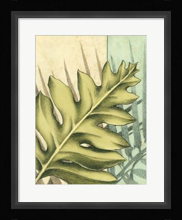 Framed Tropical Shade IV Print