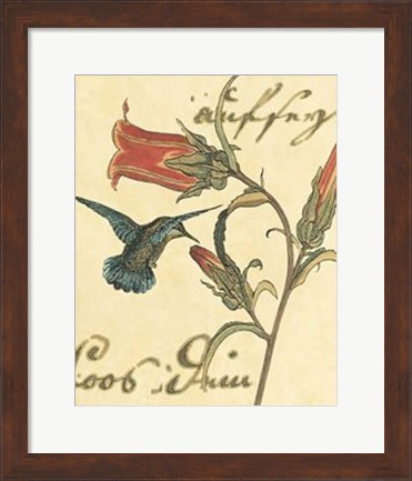 Framed Hummingbird Reverie III Print