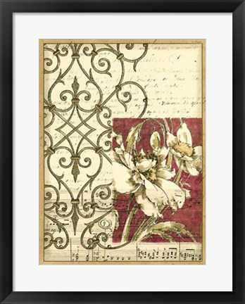 Framed Bella Sonata II Print