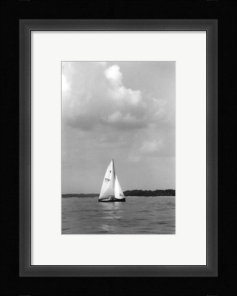 Framed Ocean Breeze IV Print