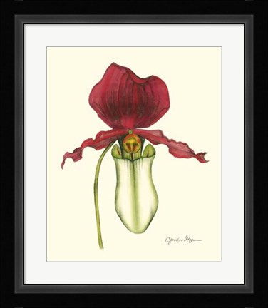 Framed Majestic Orchid I Print