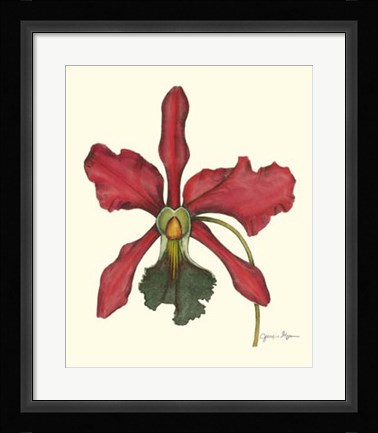 Framed Majestic Orchid IV Print