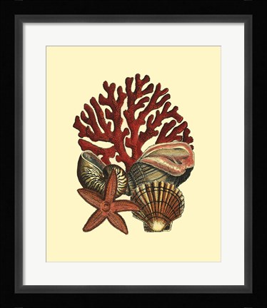 Framed Coral Medley I Print