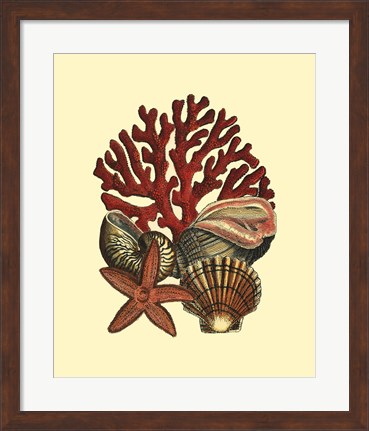 Framed Coral Medley I Print