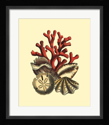 Framed Coral Medley II Print