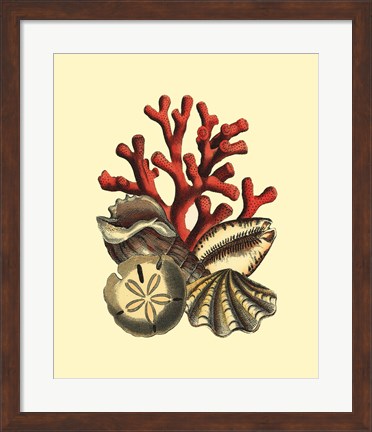 Framed Coral Medley II Print