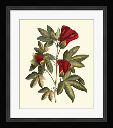 Framed Jenna's Flowers II Print