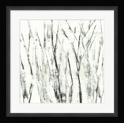 Framed Birches I Print