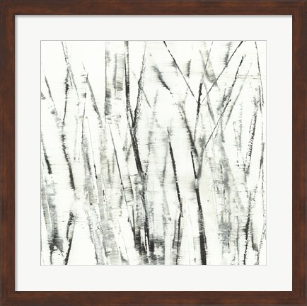 Framed Birches I Print