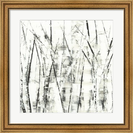 Framed Birches II Print