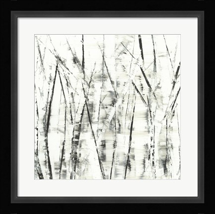 Framed Birches II Print