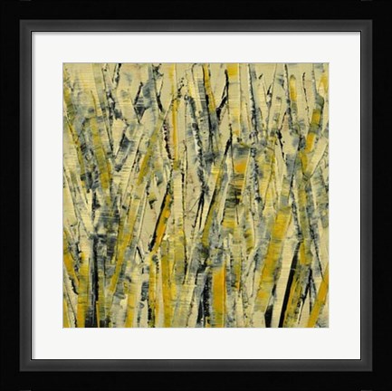 Framed Birches III Print