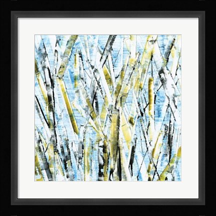 Framed Birches IV Print
