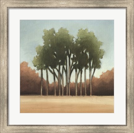 Framed Stand of Trees I Print
