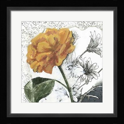 Framed Blossom Montage II Print